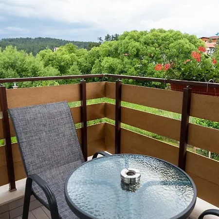 בית הארחה Pino ולינגראד