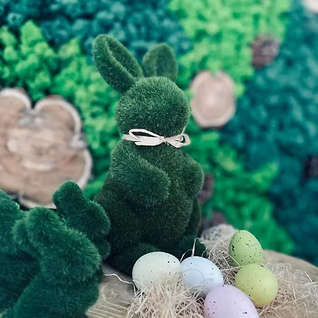 Pino 3* ולינגראד