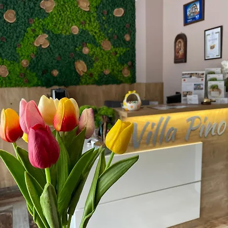 Pensiune Pino 3*